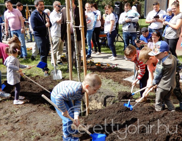 Életfát ültettünk 19